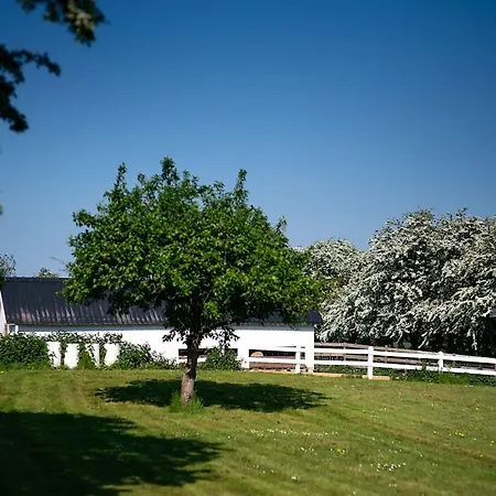 بيت ريفي Den Gamle Graensekro