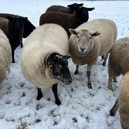 格瑞斯库伽米勒酒店 3*